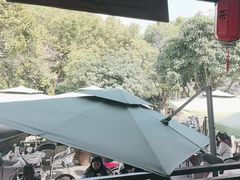 -阿巧茶庄