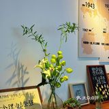 🍓如果有来生，要做一棵树，站成永恒。三毛印记