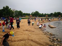 -武清南湖绿博园