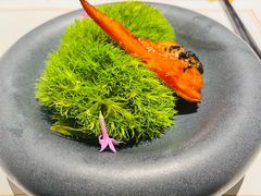 -觀芷隐轩