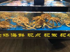-金鹰超市(国际购物中心新街口店)