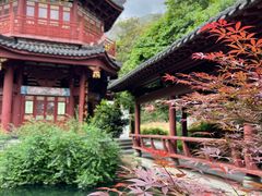 -姑婆山旅游区