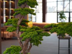 -椿杨樘·明康泡浴养生馆(重庆店)