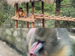 -云南野生动物园