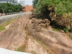 -广州七星岗古海岸遗址科学公园