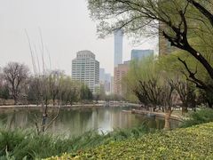 -团结湖公园