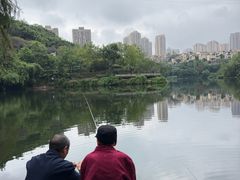 -重庆彩云湖湿地公园