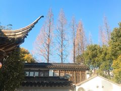 -三林塘老街