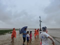 -南汇嘴观海公园