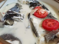 -全乐鱼馆·淳牌有机鱼直营店