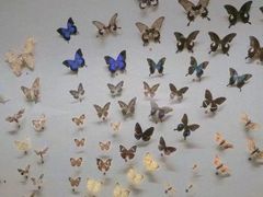 -香港科学馆