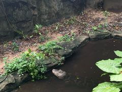 -万象影城(深圳湾万象城旗舰店)