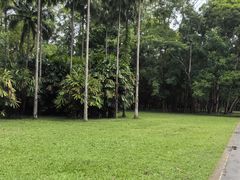 -中国科学院西双版纳热带植物园