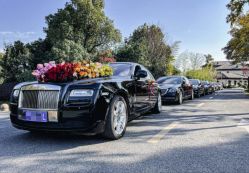 -喜乐汇·婚车(华润橡树湾3期店)