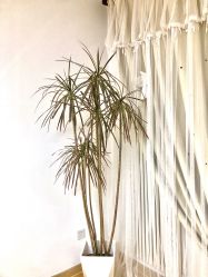 -美肤盾祛痘·问题肌头疗管理中心