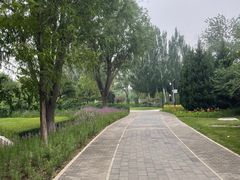 -北坞公园