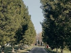 -秦始皇帝陵博物院-丽山园