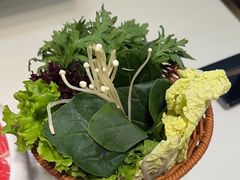 -洪氏嗨捞·猪肚鸡火锅(阳光天地店)