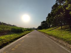 -大亚湾红树林城市湿地公园