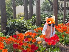 -上海醉白池公园