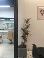 点击看大图 -ASA HAIR SALON