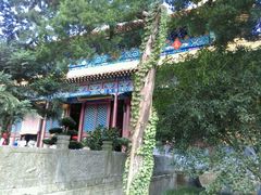 -普陀山风景名胜区-法雨禅寺