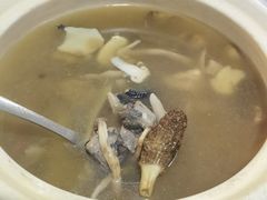 -蘑统田下·野生菌火锅