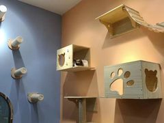 -BABIT巴比特宠物(MOMOPARK店)