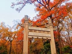 -灵谷景区