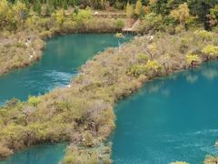 -九寨沟-树正沟