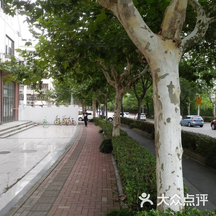 安徒生童话乐园停车场