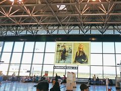 -米兰马尔彭萨国际机场