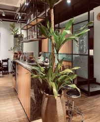 -Mentor Hair Salon