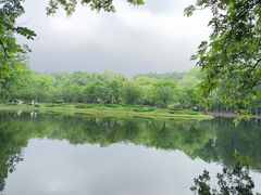 -上海共青森林公园