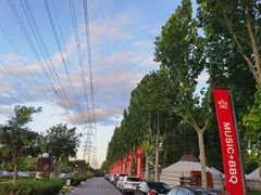 -九十九顶毡房(阜石路店)