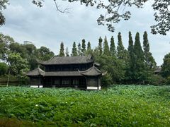 -桂湖森林公园