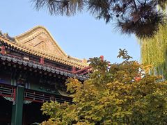 -莲池书院博物馆