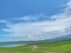-山丹皇家马场