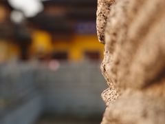 -兰拓相机租赁·维修·二手(上海店)