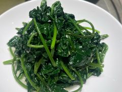 -新渝城·川菜·火锅(区庄店)