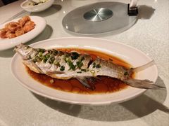 -金美华轩(东方路齐鲁店)