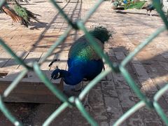 -银树楼(紫玉山庄东区店)