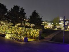 -莫子山公园