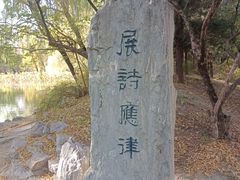 -圆明园停车场