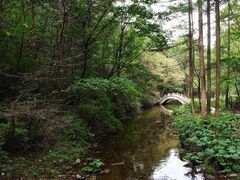 -洛阳白云山景区