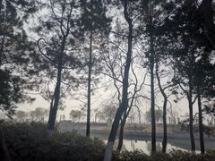 -苏州太湖国际会议中心