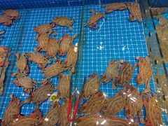 -赶海儿海鲜镖局·平价海鲜小馆(金沙滩店)