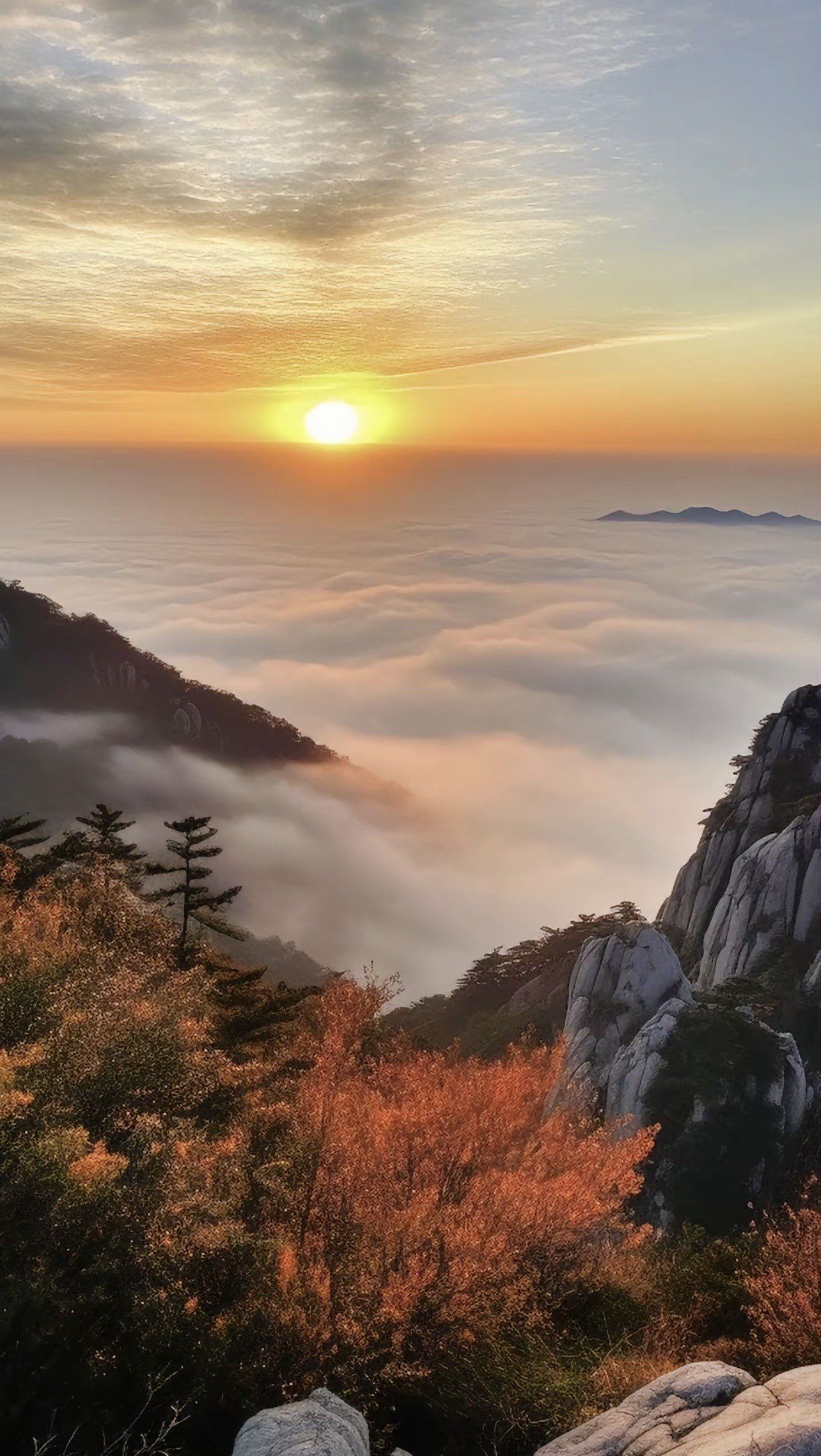 制定战术策略，灵活应变