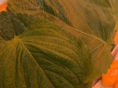 -杨记齐齐哈尔烤肉(总店)