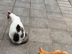 -晓港公园